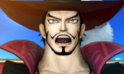 One Piece Kaizoku Musou Head 2012 01 12 12 001