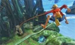 One Piece Kaizoku Musou Pirate Warriors head 3