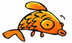 poisson