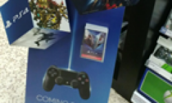 PS4 PlayStation 4 24 05 2013 carton head