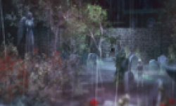 rain 25 03 2013 head 3