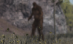 Red Dead Redemption Yeti WTF head