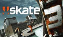 skate 3 jaquette head