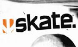 skate icon