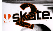 skate2_icon