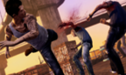 Sleeping Dogs 17 02 2012 head 3