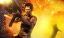 Sleeping Dogs 17 02 2012 head 5
