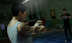 Sleeping Dogs head 24052012 01.png