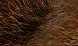 Street Fighter x Tekken Head 01 08 2011 01