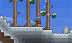 Terraria head