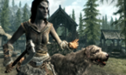 The Elder Scrolls V Skyrim 18 08 2011 head 2