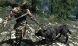 The Elder Scrolls V Skyrim head 27