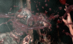 The Evil Within vignette 19042013