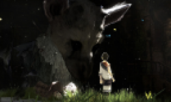 The Last Guardian Head 150512 01