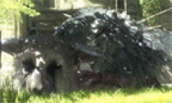 The Last Guardian head 1