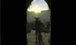 the last guardian ico
