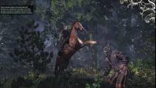 The Witcher 3 images screenshots  01