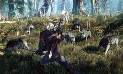 The Witcher 3 Wild Hunt 25 06 2013 screenshot 4