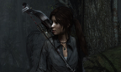 Tomb raider vignette 16042013
