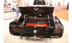 transcammermustang 5
