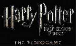vignette harry potter