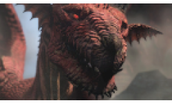 Vignette head Dragon\'s Dogma Dark Arisen