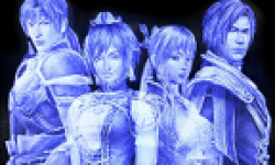 Vignette head Dynasty Warriors 8 collector