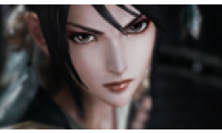 Vignette head Dynasty Warriors 8