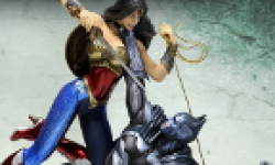 Vignette head Injustice collector
