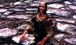 vignette head the elder scrolls v 5 skyrim bug 05022012