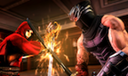 Vignette Icone Head Ninja Gaiden 3 16082011 02