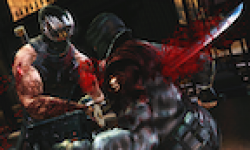 Vignette Icone Head Ninja Gaiden 3 16082011 06