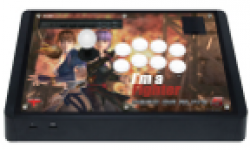 Visuel head dead or alive 5 stick arcade hori