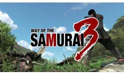 way of the samourai 3 gamebridge screenshot captures 54