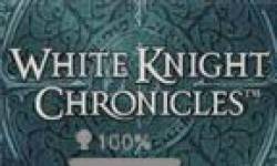 White Knight Chronicles 101