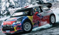 wrc 3 vignette head 30072012 003