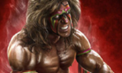 WWE 2K14 15 07 2013 head