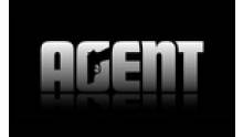 agent_vignette