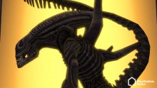 Aliens-vs-Predator-Outfits-Home-Playstation (6)