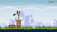 Angry_Birds_Playstation3_psn_ScreenShots (16)