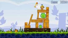 Angry_Birds_Playstation3_psn_ScreenShots (23)