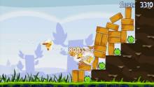 Angry_Birds_Playstation3_psn_ScreenShots (30)