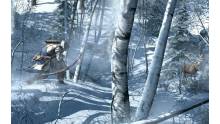 Assassins-Creed-III-Image-020312-03