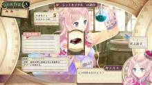 Atelier-Meruru-Screenshot-02052011-06