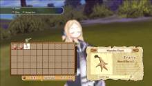 Atelier-Rorona-US-screenshots-2010-07-31-18