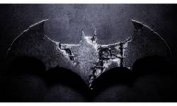 batman arkham asylum 2 Capture plein écran 13122009 172708.bmp