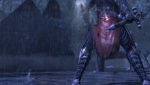 Castlevania  Lords of Shadow (8)