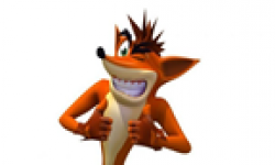 crash bandicoot vignette 20042011 001
