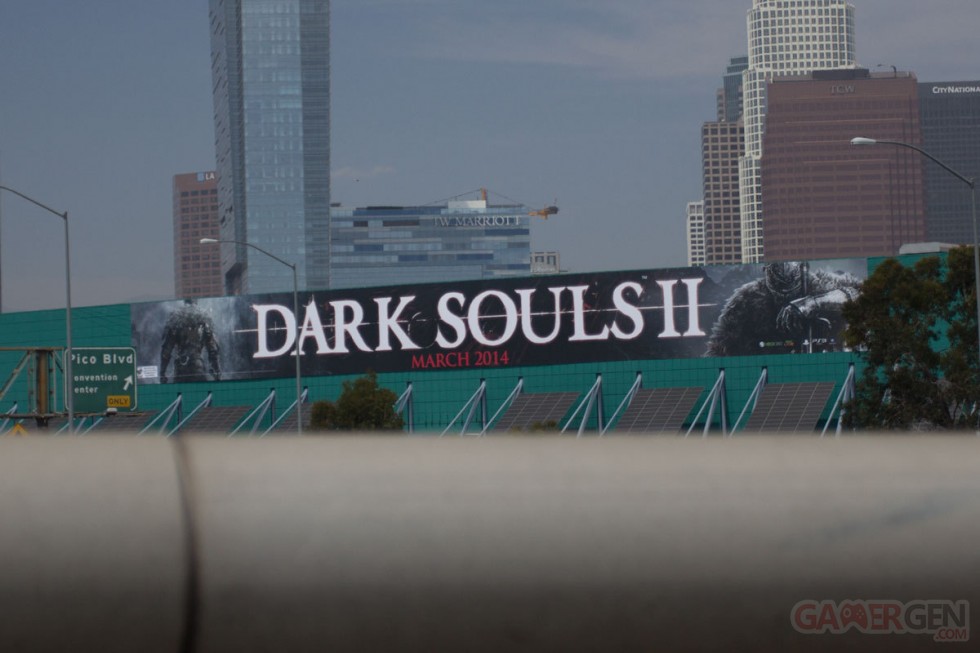 Dark-Souls-II_02-06-2013_pic