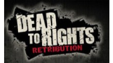 dead-to-rights-retribution-video-icon